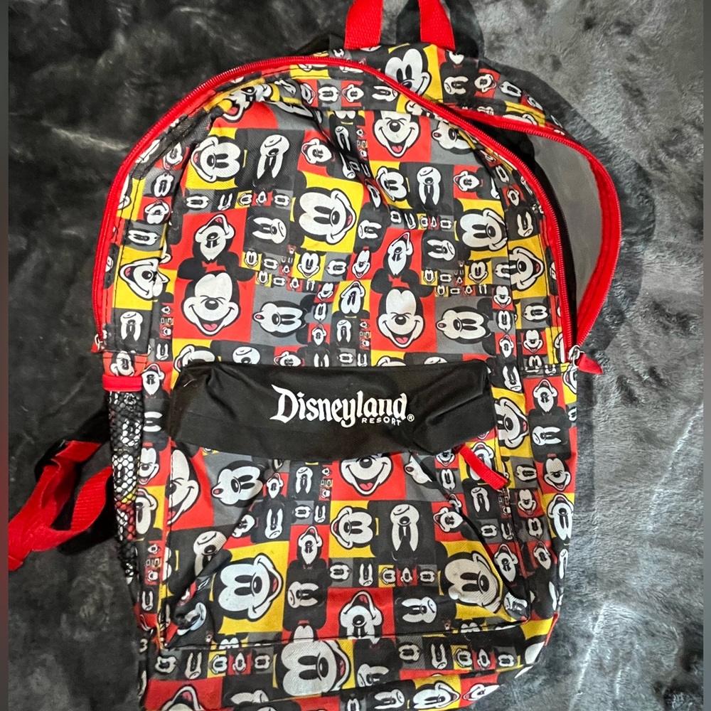 Exclusive Disneyland resort backpack